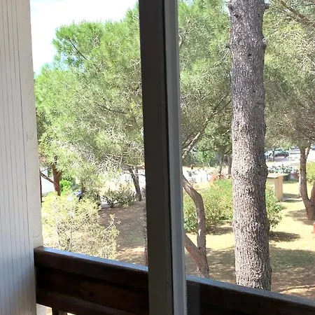 Sous Les Pins, A 80 M, 4 Personnes Lägenhet