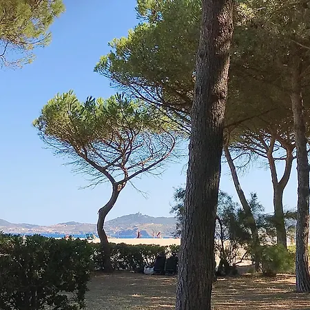 Sous Les Pins, A 80 M, 4 Personnes *