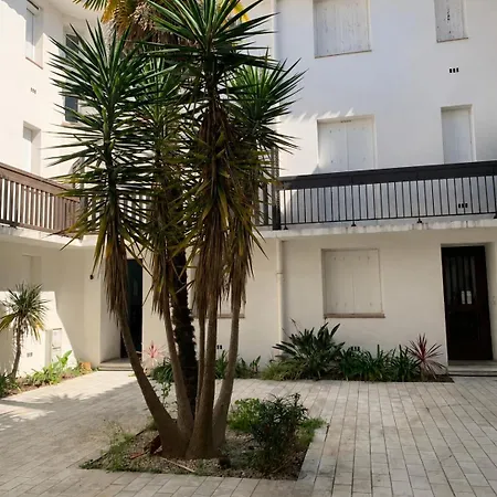 Sous Les Pins, A 80 M, 4 Personnes * Argelès-sur-Mer
